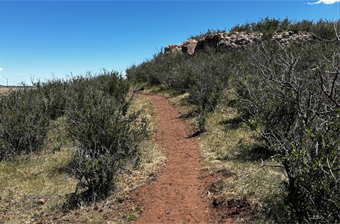 A trail at the Belvoir Ranch.