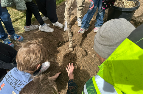 Students and Urban Forestry staff plant a tree for Arbor Day 2026.