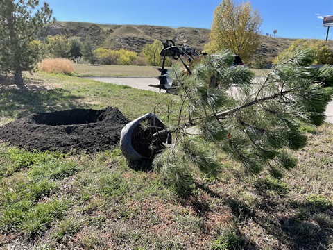 Fall Planting 2025.JPG