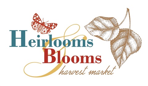 Heirlooms and blooms logo