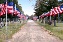 Veterans Day.jpg